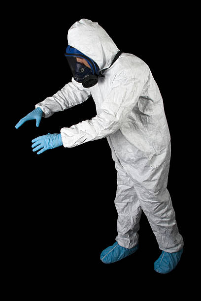 Mold Documentation for Insurance Claims in Toledo, IA