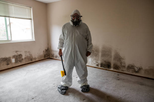 Best Air Quality Testing for Mold Spores  in Toledo, IA